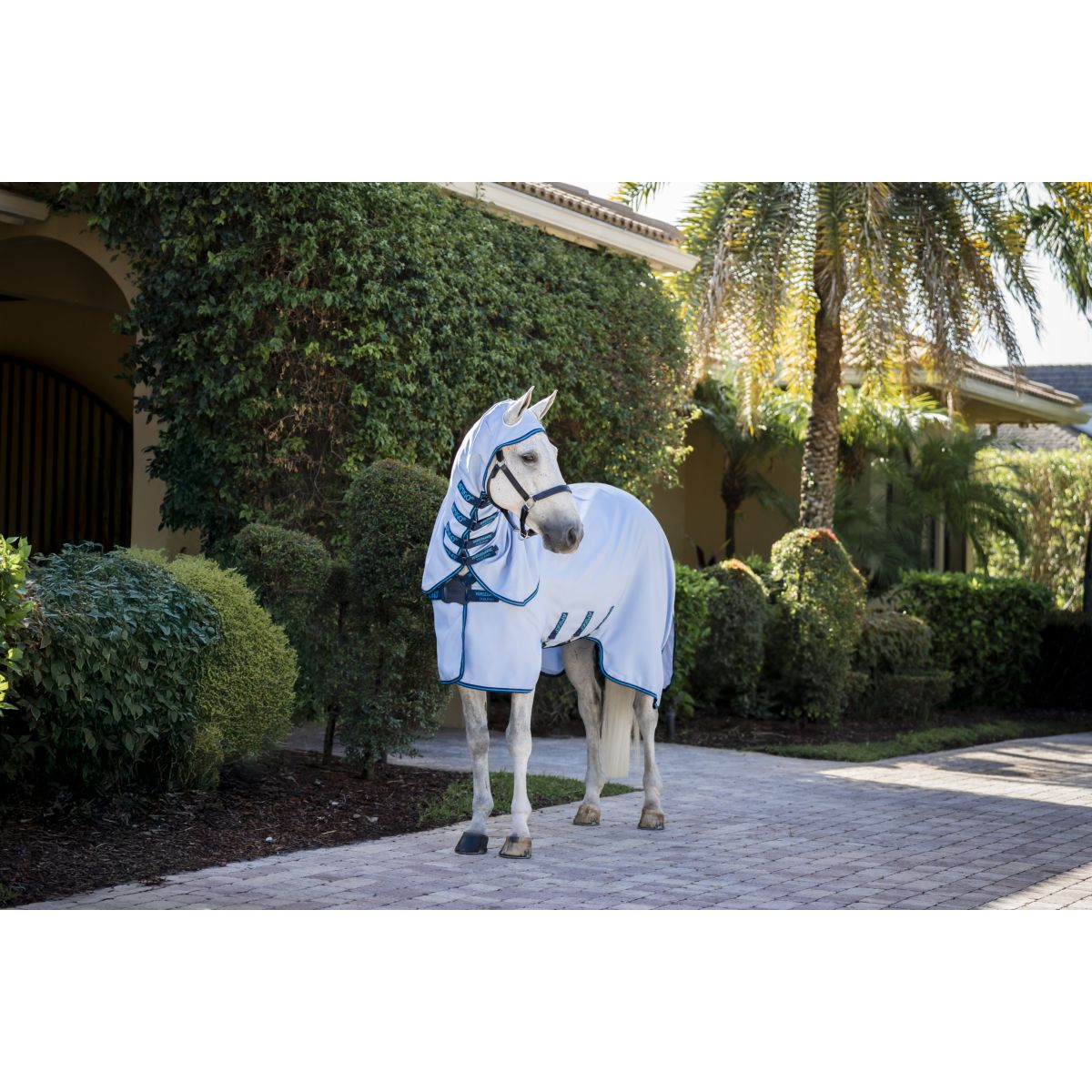 Amigo Felpa con cappuccio Ripstop Azure Blue/Navy/Electric Blue