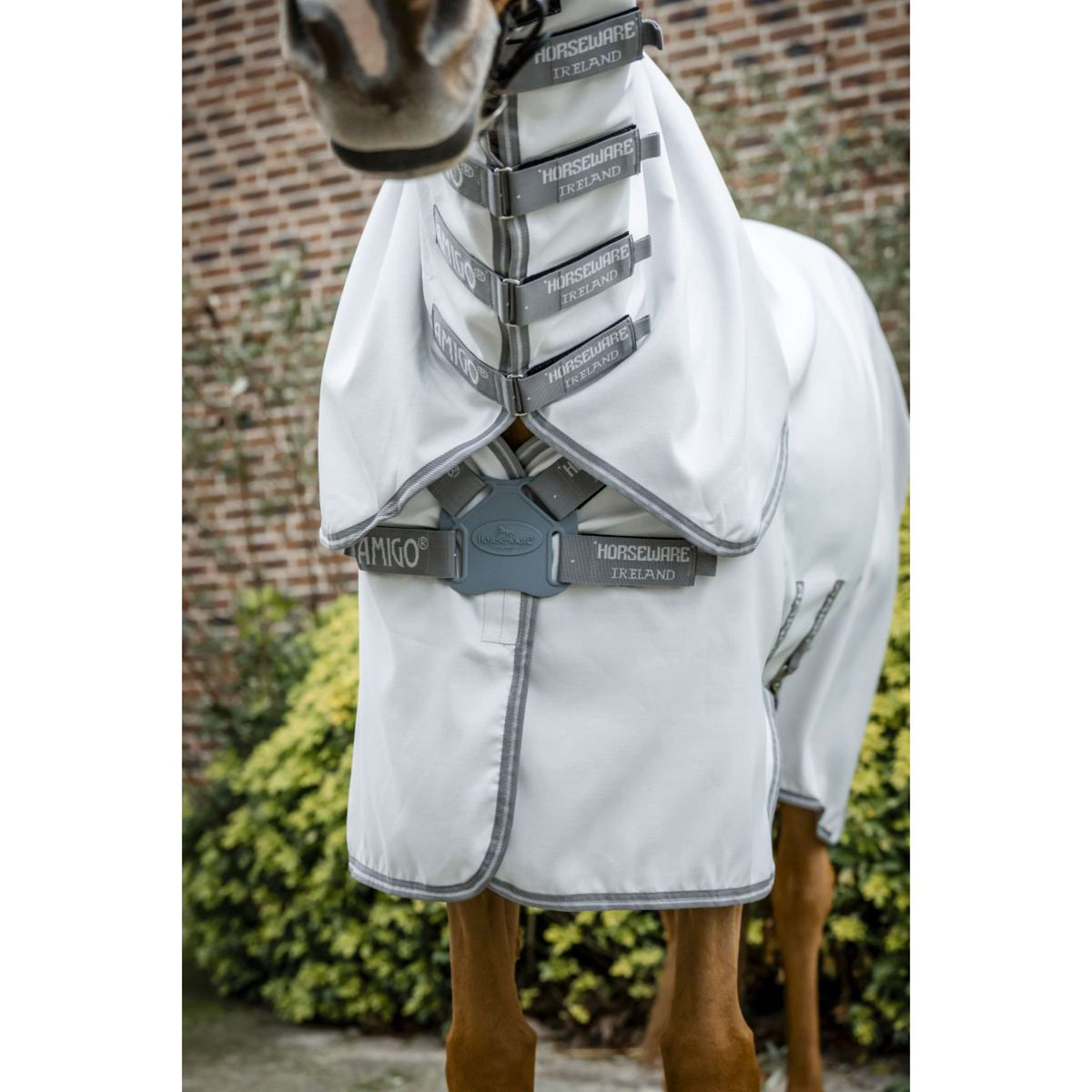 Amigo Felpa con cappuccio Ripstop Argento/Grigio Titanio/Argento