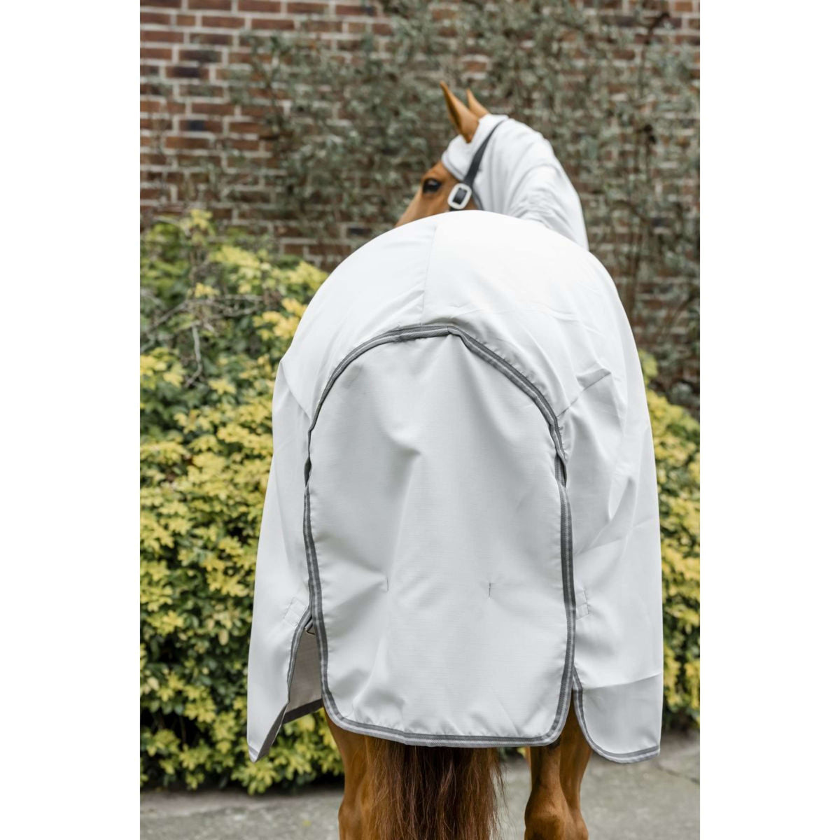 Amigo Felpa con cappuccio Ripstop Argento/Grigio Titanio/Argento