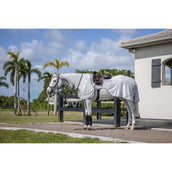 Amigo Flyrider Argento/Grigio Titanio/Argento