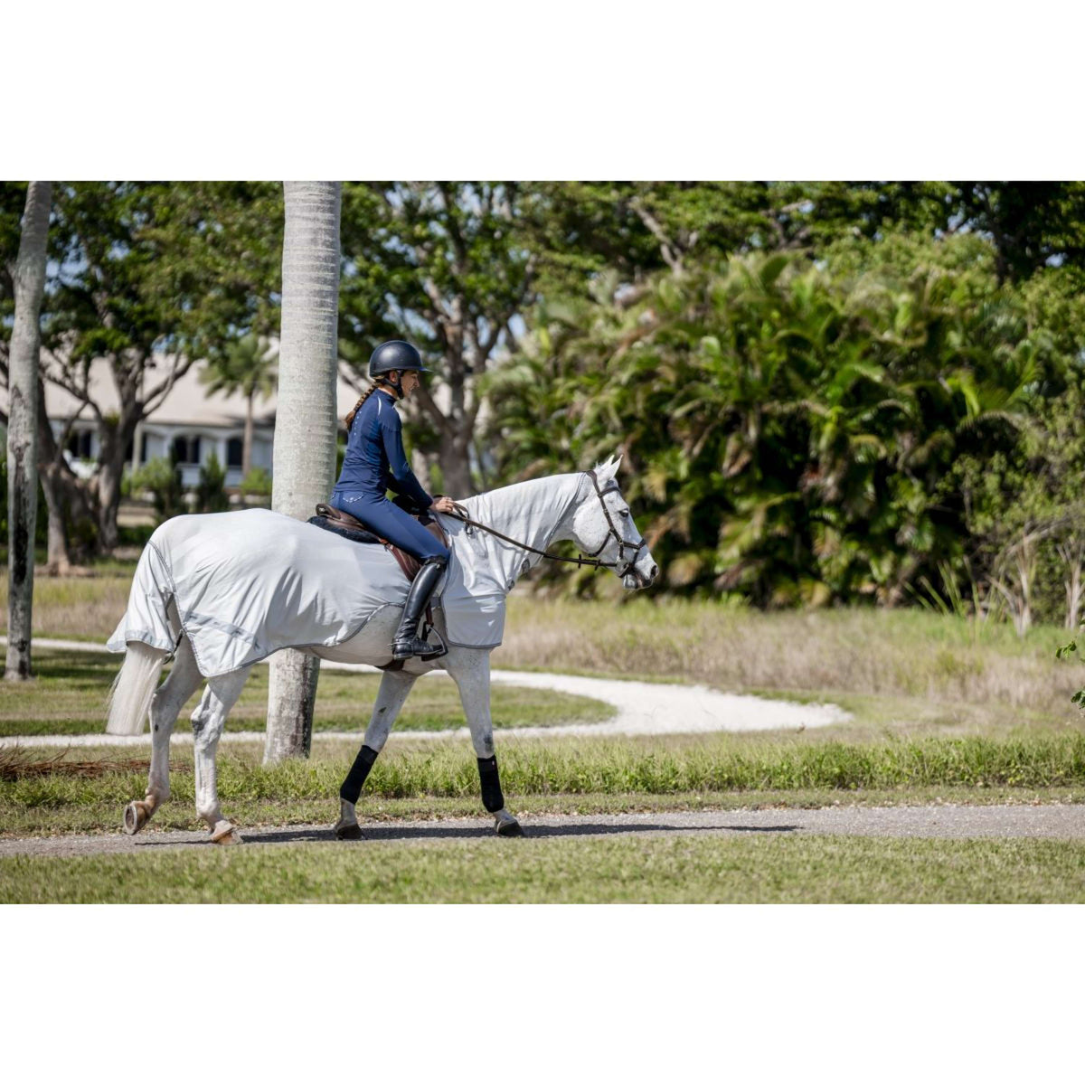 Amigo Flyrider Argento/Grigio Titanio/Argento