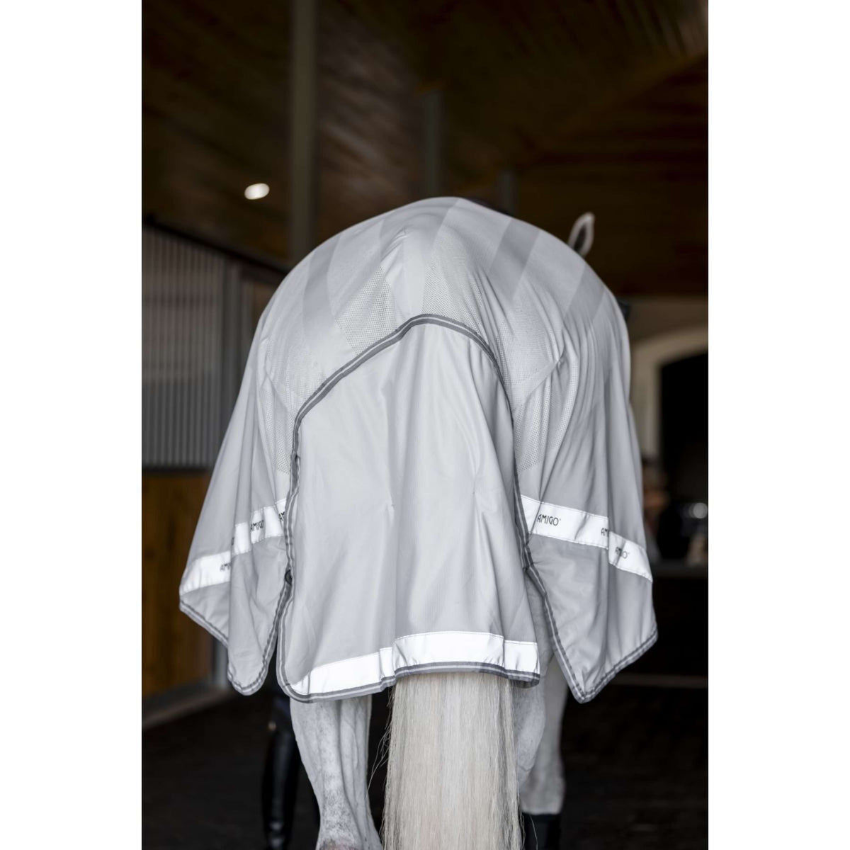 Amigo Flyrider Argento/Grigio Titanio/Argento