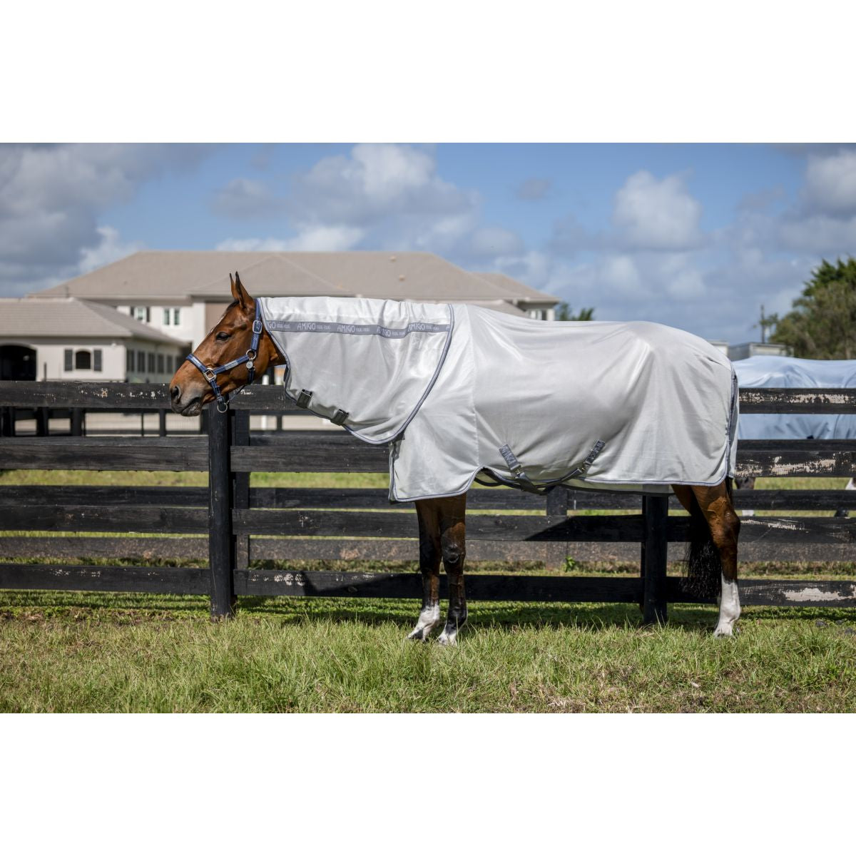 Amigo Bug Rug Plus Argento/Grigio Titanio/Argento