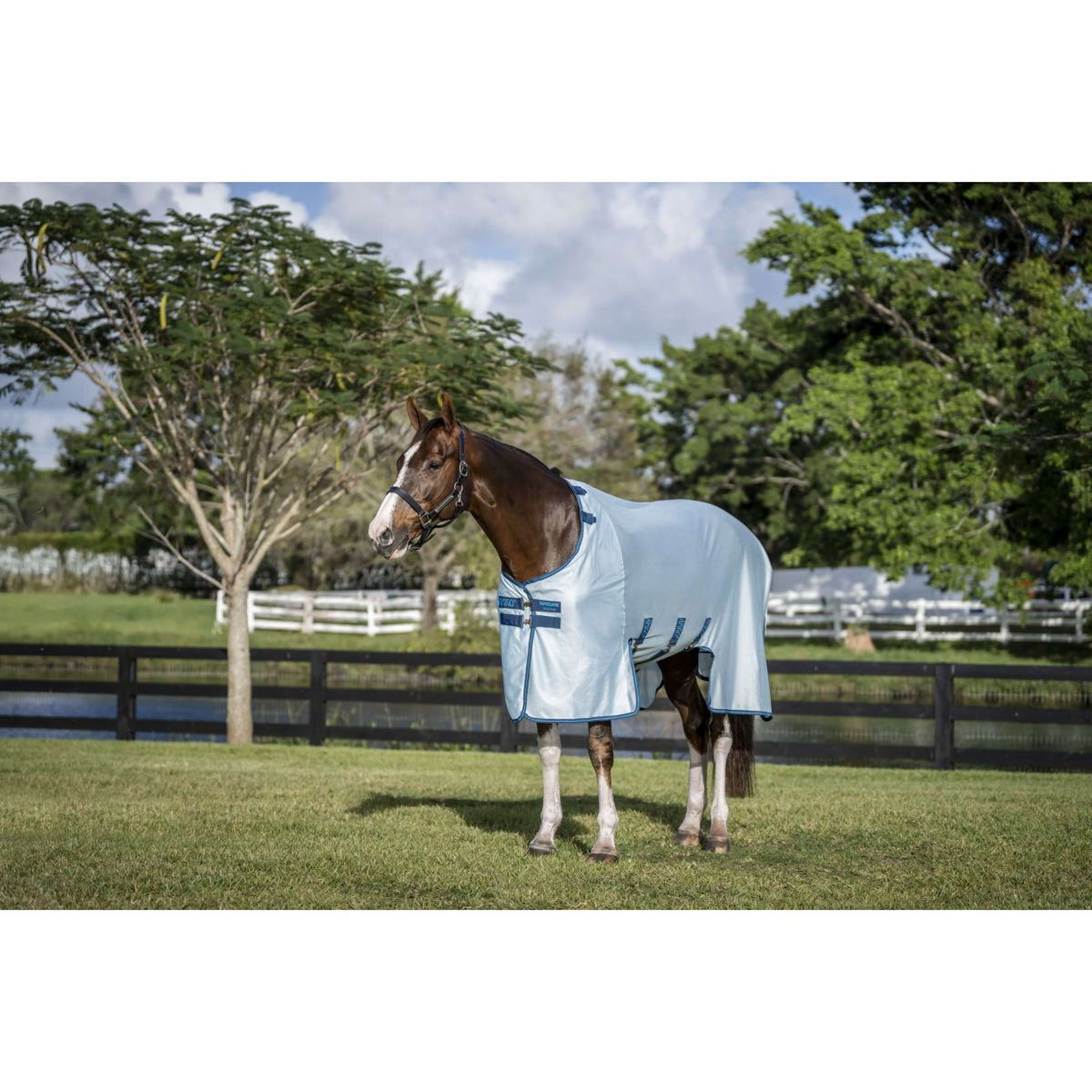 Amigo Bug Buster Azure Blue/Navy/Electric Blue