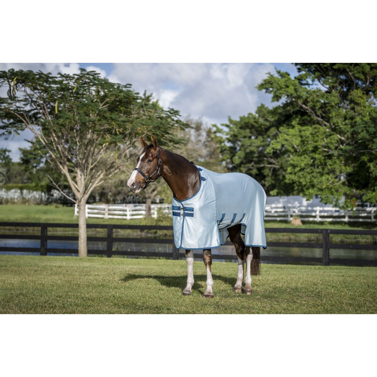 Amigo Bug Buster Azure Blue/Navy/Electric Blue