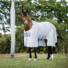 Amigo Bug Buster Argento/Grigio Titanio/Argento