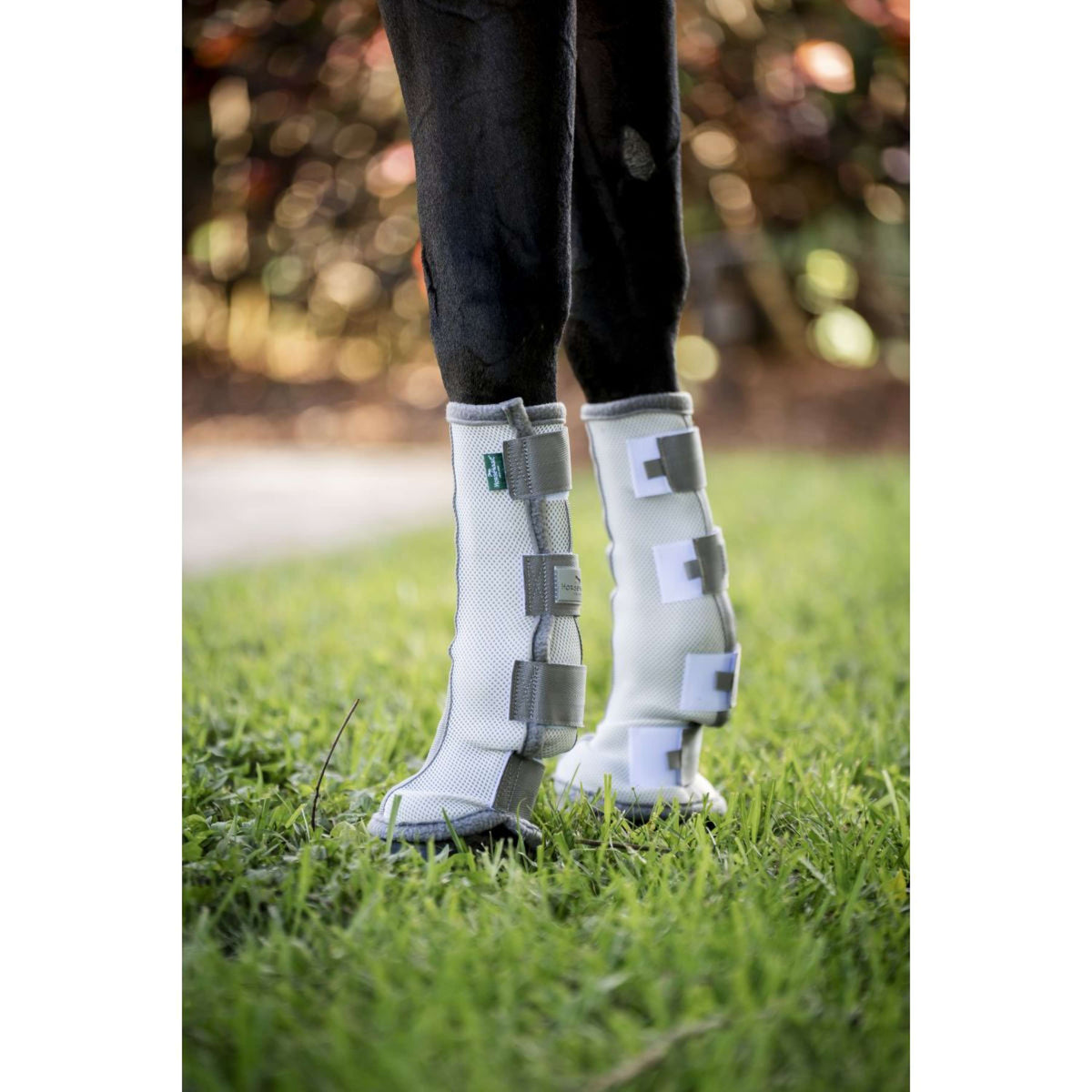 Horseware Stivali da mosca Set of 2 Argento/Grigio Titanio/Argento