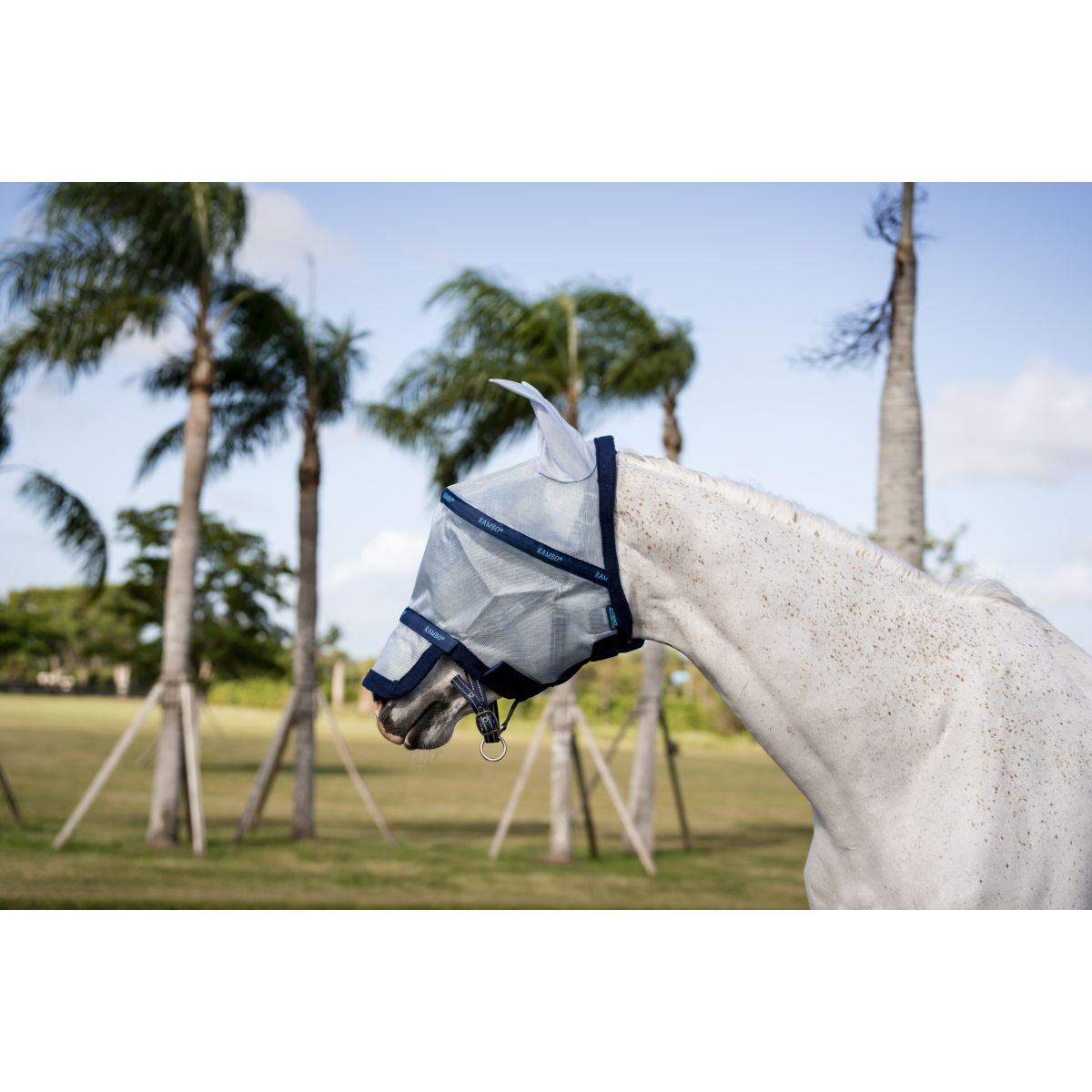 Rambo Fly Mask Azure Blue/Navy/Electric Blue