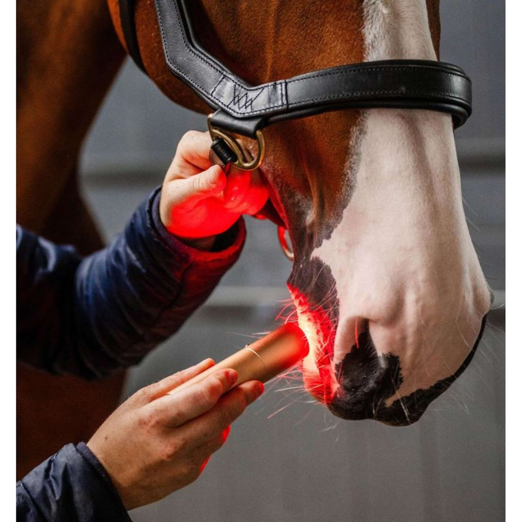 Horseware GUIDATO Red Light Therapy Bacchetta Nero