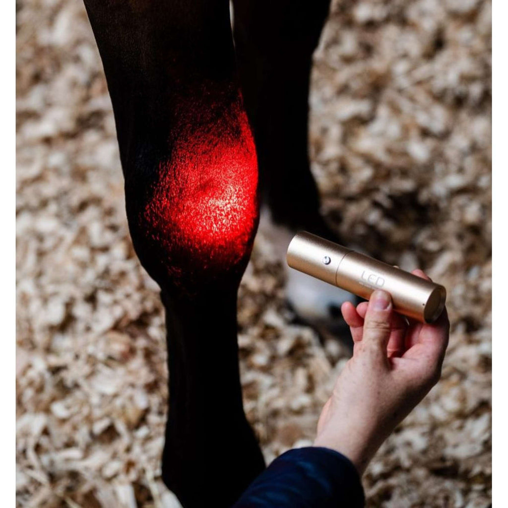 Horseware GUIDATO Red Light Therapy Bacchetta Nero