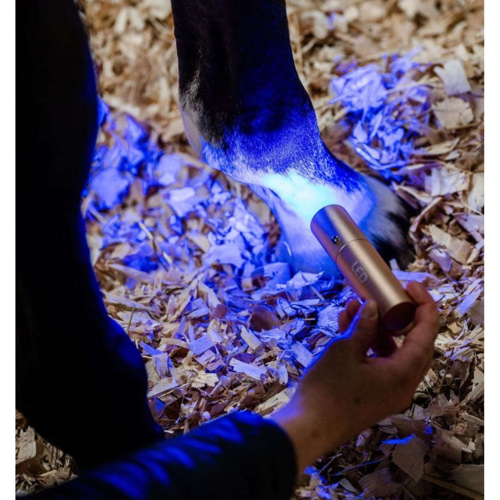 Horseware GUIDATO Red Light Therapy Bacchetta Nero