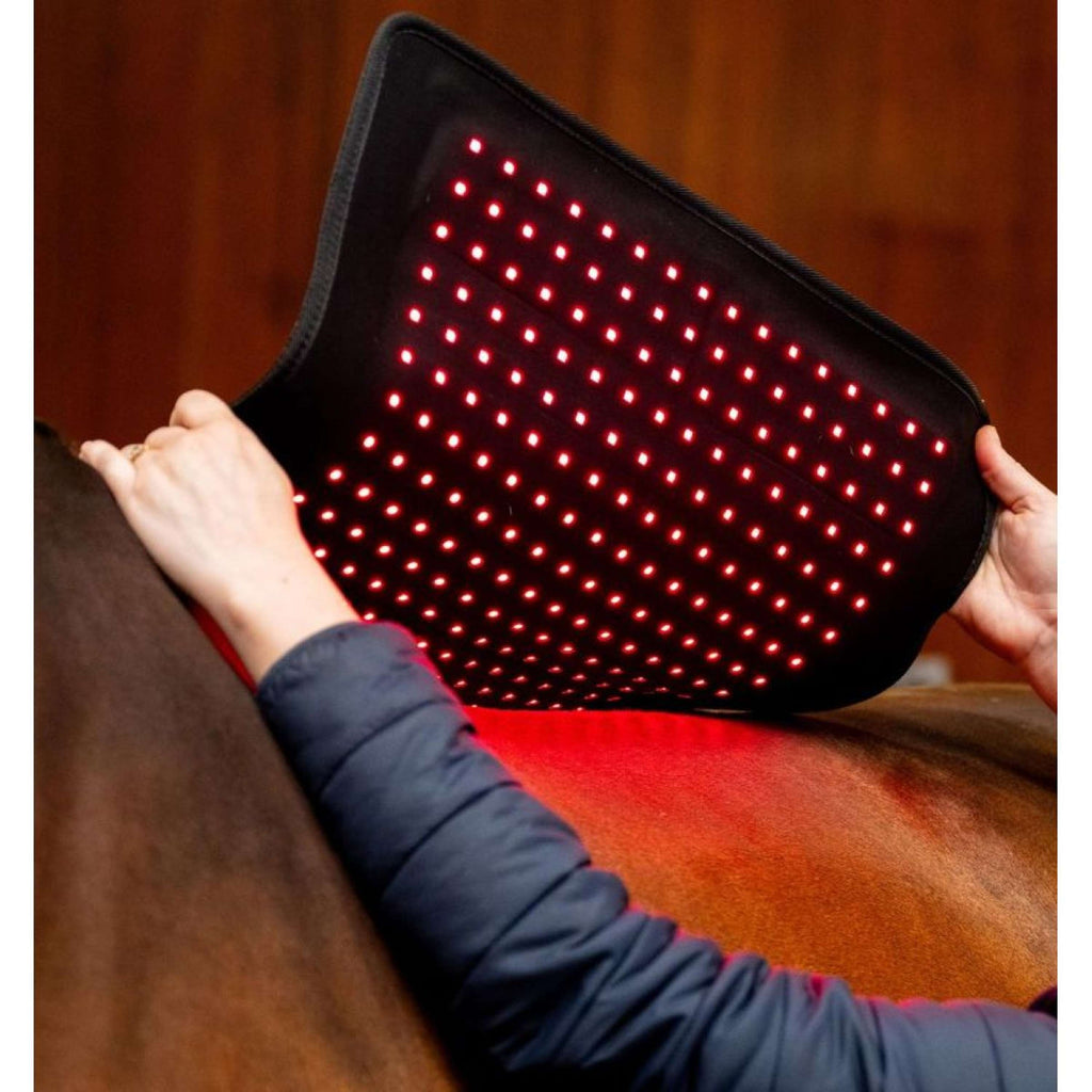 Horseware GUIDATO Red Light Therapy Pad Nero