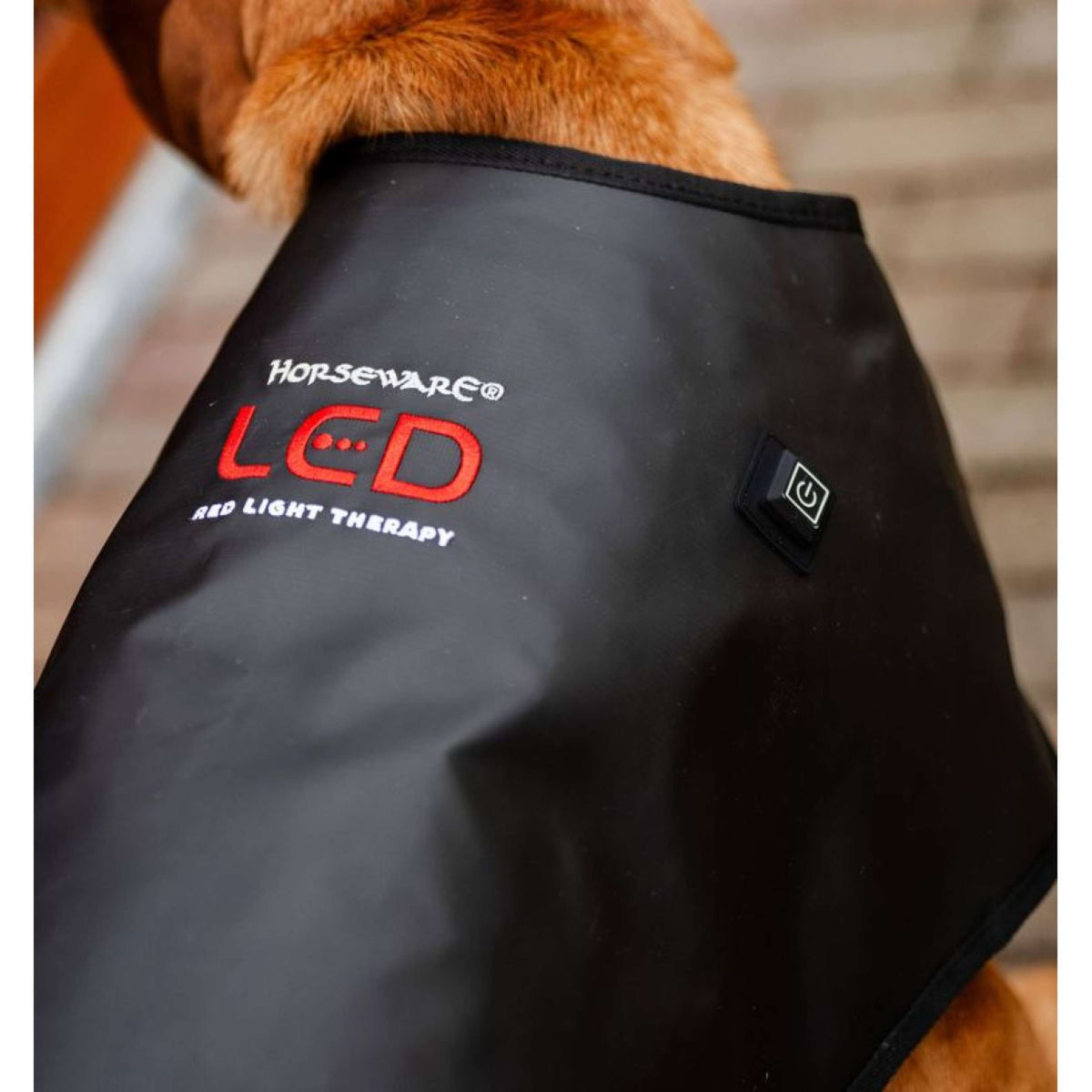 Horseware GUIDATO Red Light Therapy Coperte Nero