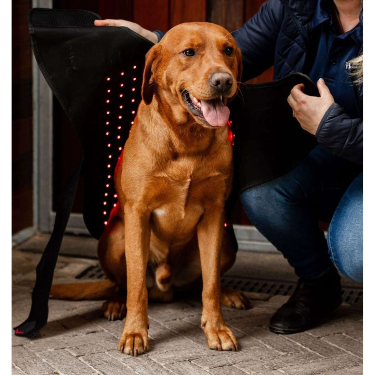 Horseware GUIDATO Red Light Therapy Coperte Nero