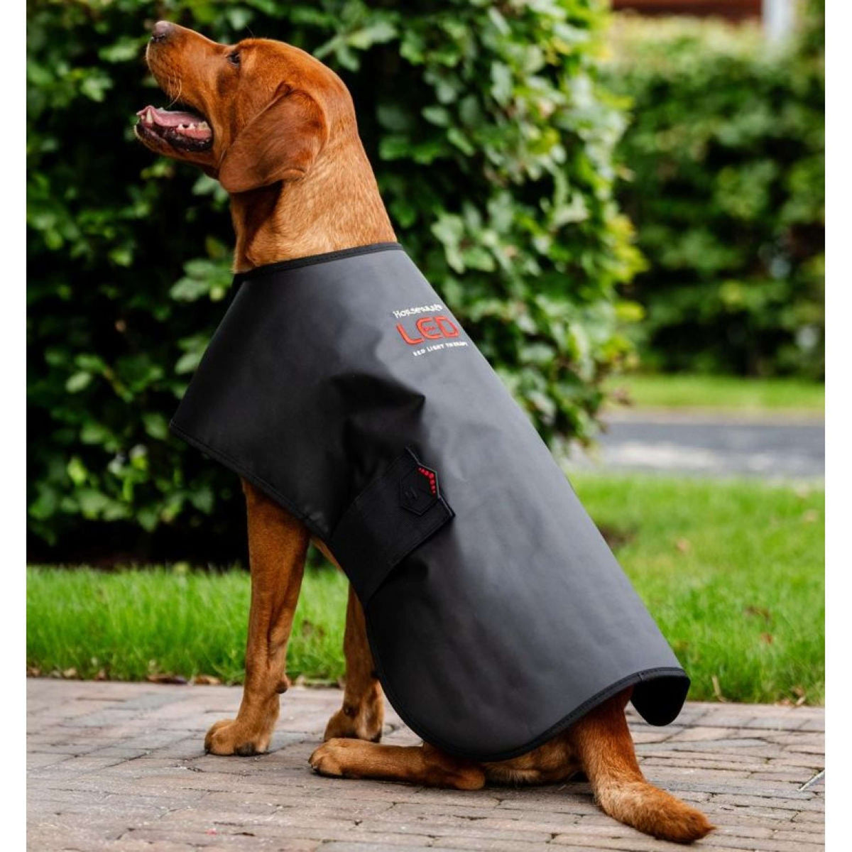 Horseware GUIDATO Red Light Therapy Coperte Nero