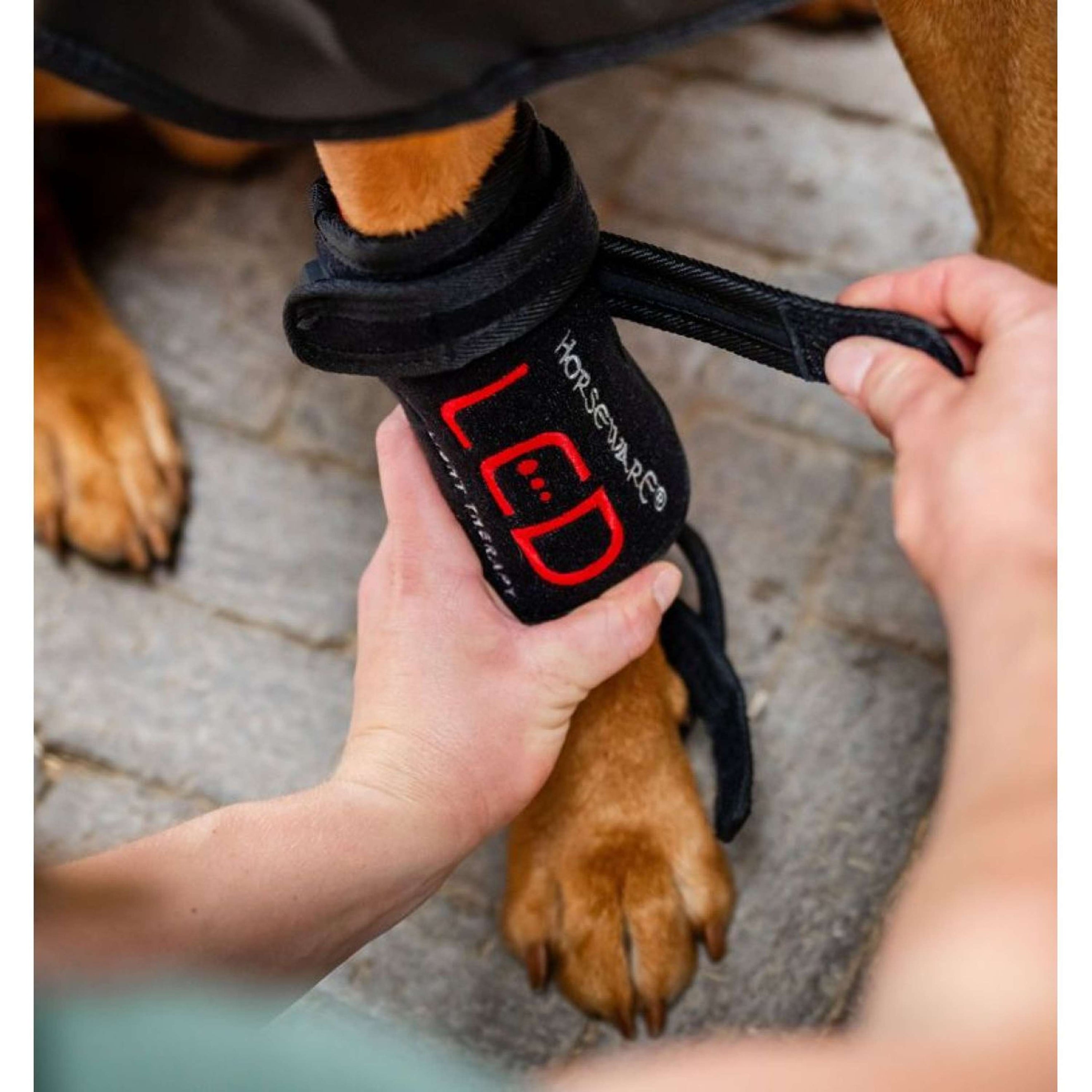 Horseware GUIDATO Red Light Therapy Pet Leg Wrap Nero Horseware GUIDATO Red Light Therapy Pet Leg Wrap Nero