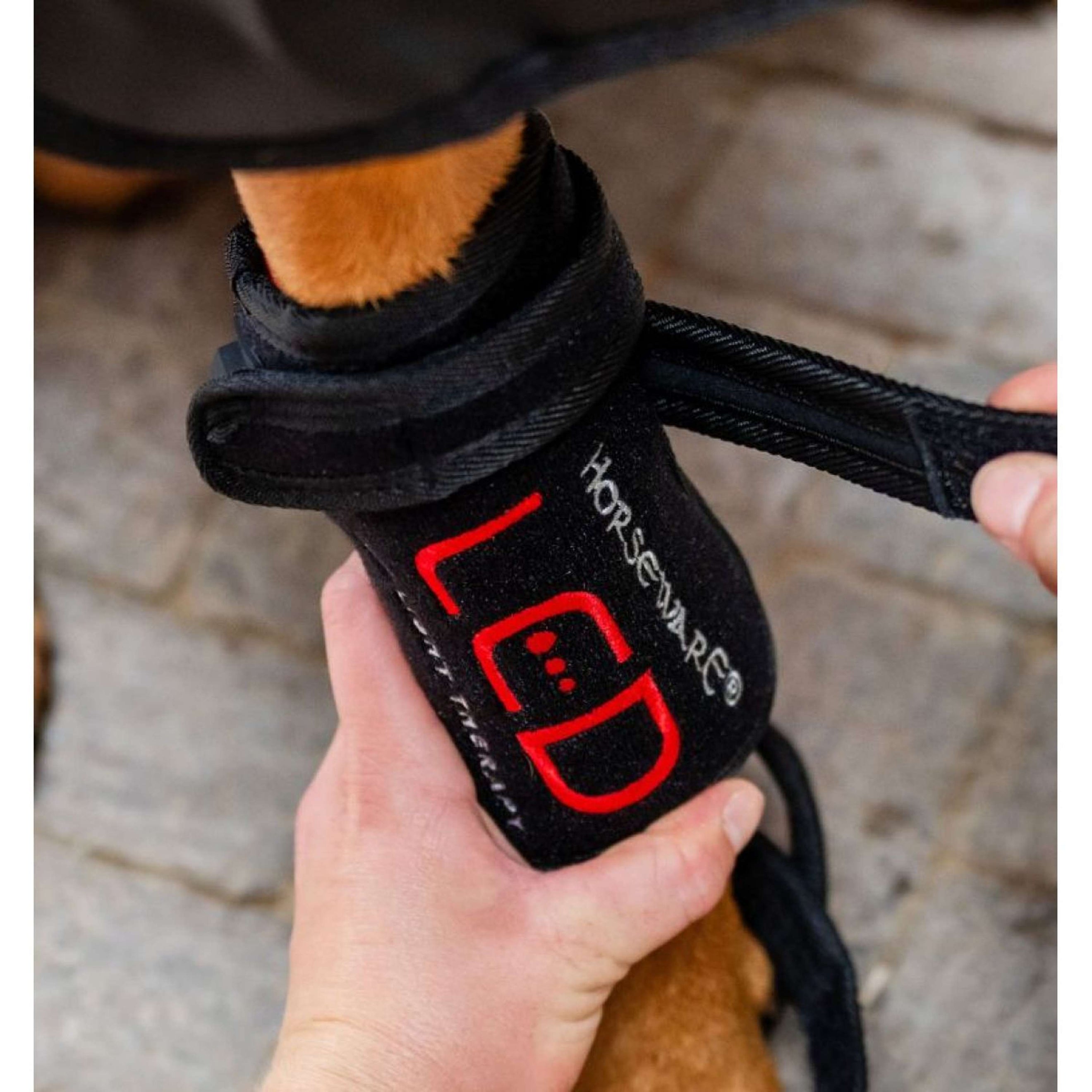 Horseware GUIDATO Red Light Therapy Pet Leg Wrap Nero Horseware GUIDATO Red Light Therapy Pet Leg Wrap Nero