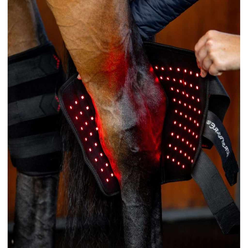 Horseware GUIDATO Red Light Therapy Left Hock Boot Nero