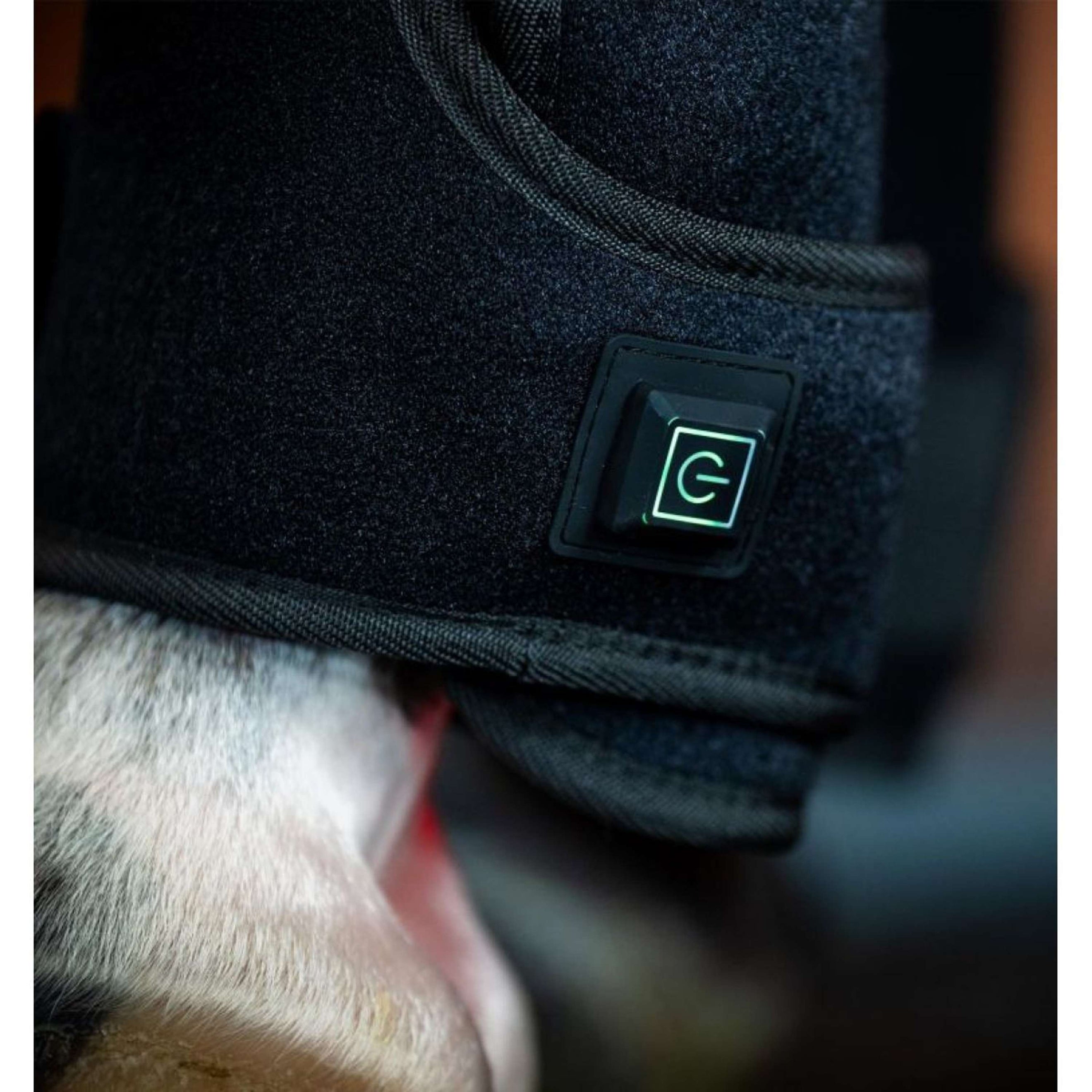 Horseware GUIDATO Red Light Therapy Right Leg Wrap Nero