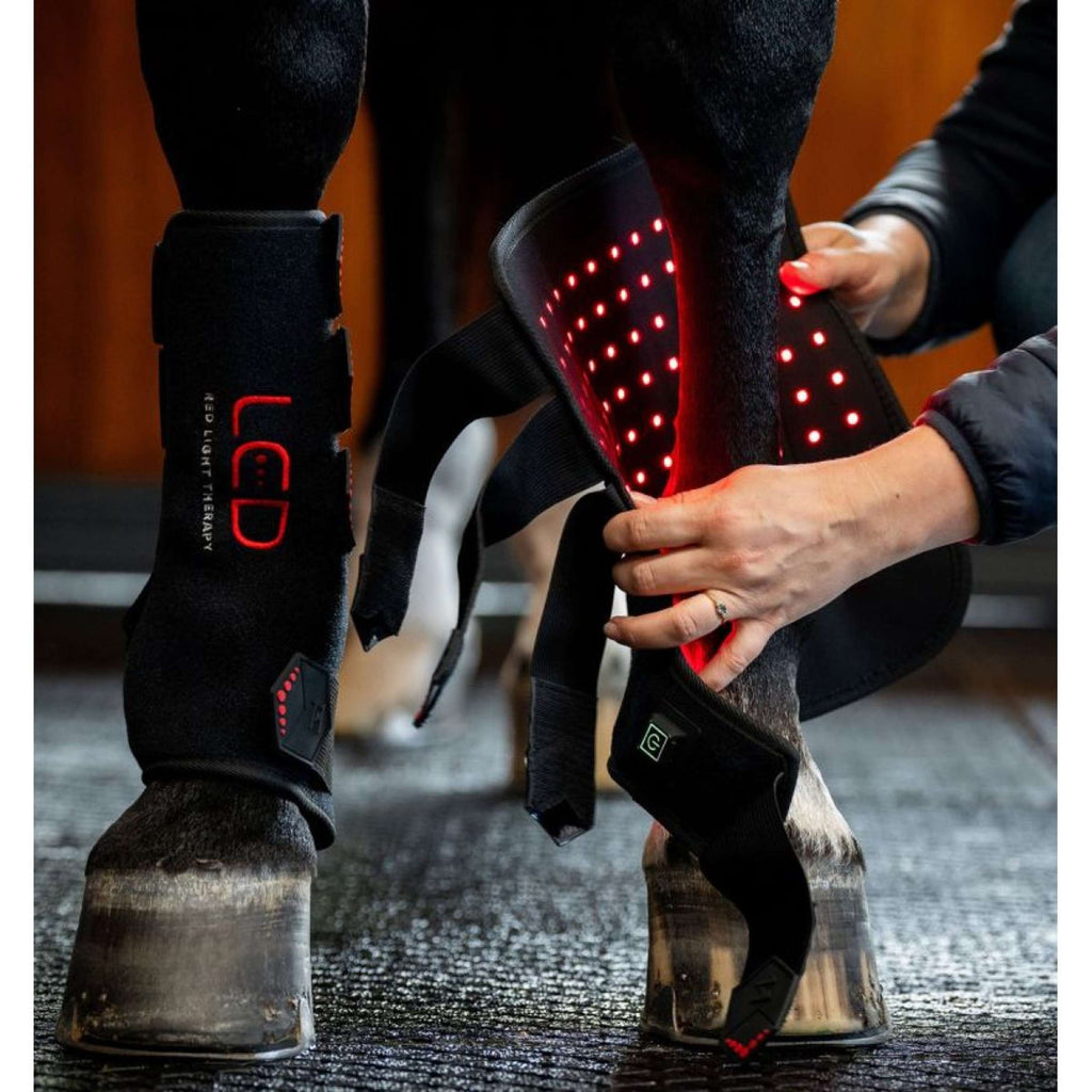 Horseware GUIDATO Red Light Therapy Right Leg Wrap Nero