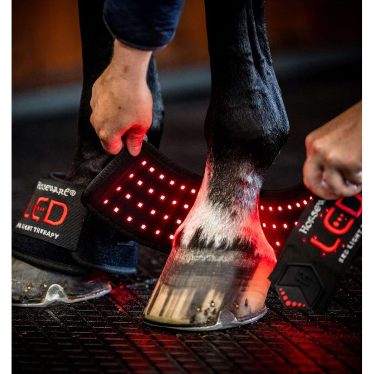 Horseware GUIDATO Red Light Therapy Mini Wrap Nero