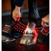 Horseware GUIDATO Red Light Therapy Mini Wrap Nero