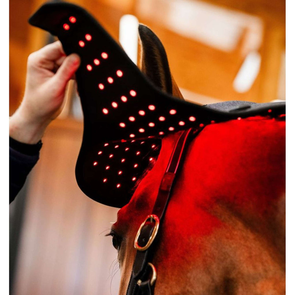 Horseware GUIDATO Red Light Therapy Poll Cap Nero