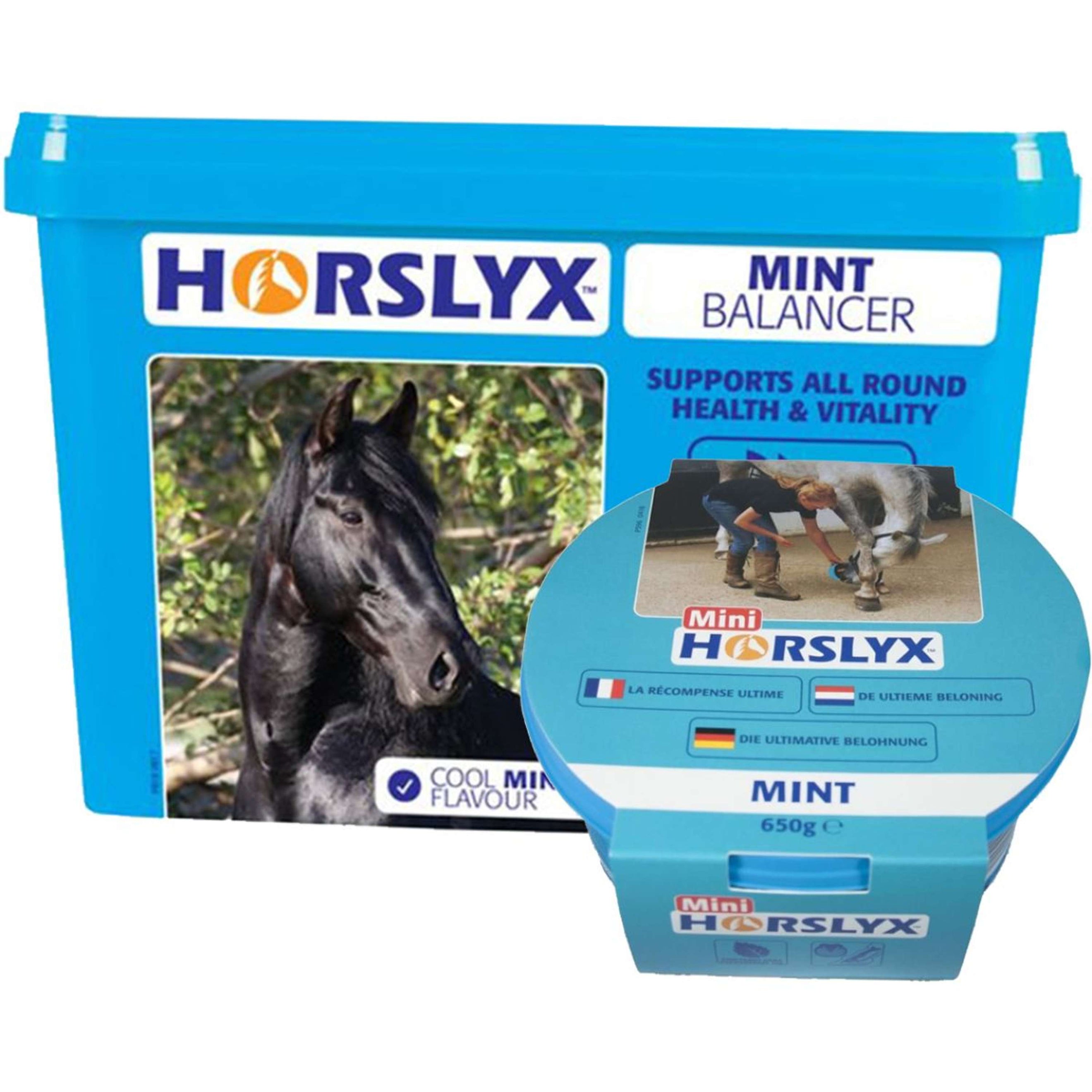 Horslyx Pietra da Leccare Mint