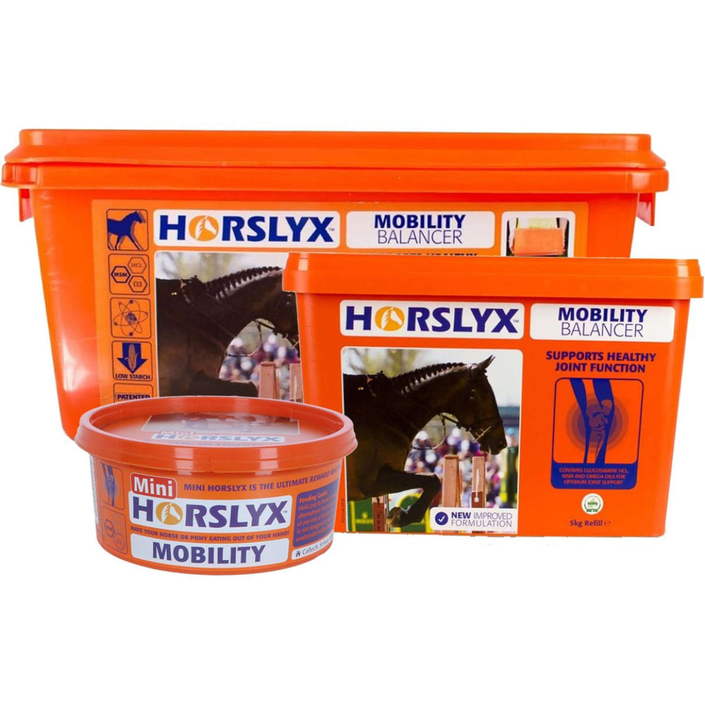 Horslyx Pietra da Leccare Mobility