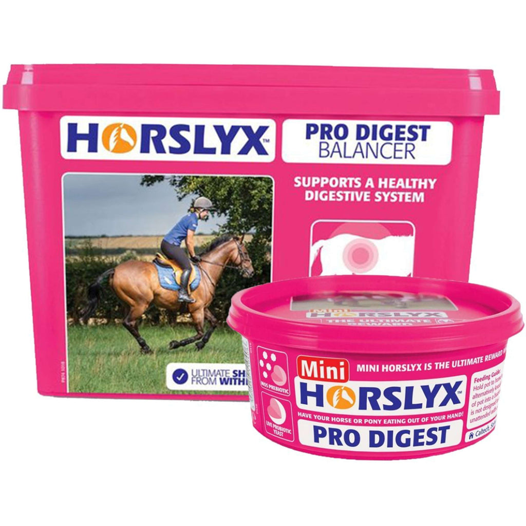 Horslyx Pietra da Leccare Original