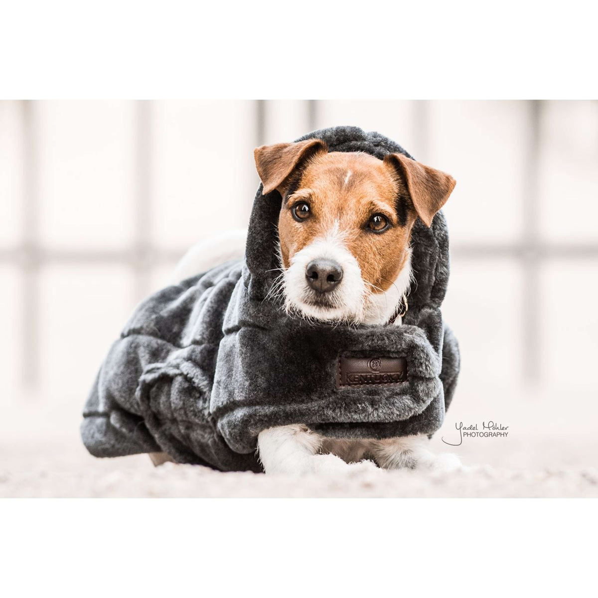 Kentucky Dogwear Dog Rug Fake Fur Grigio
