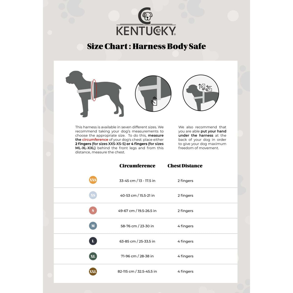 Kentucky Dogwear Imbracatura Body Safe Azzurro