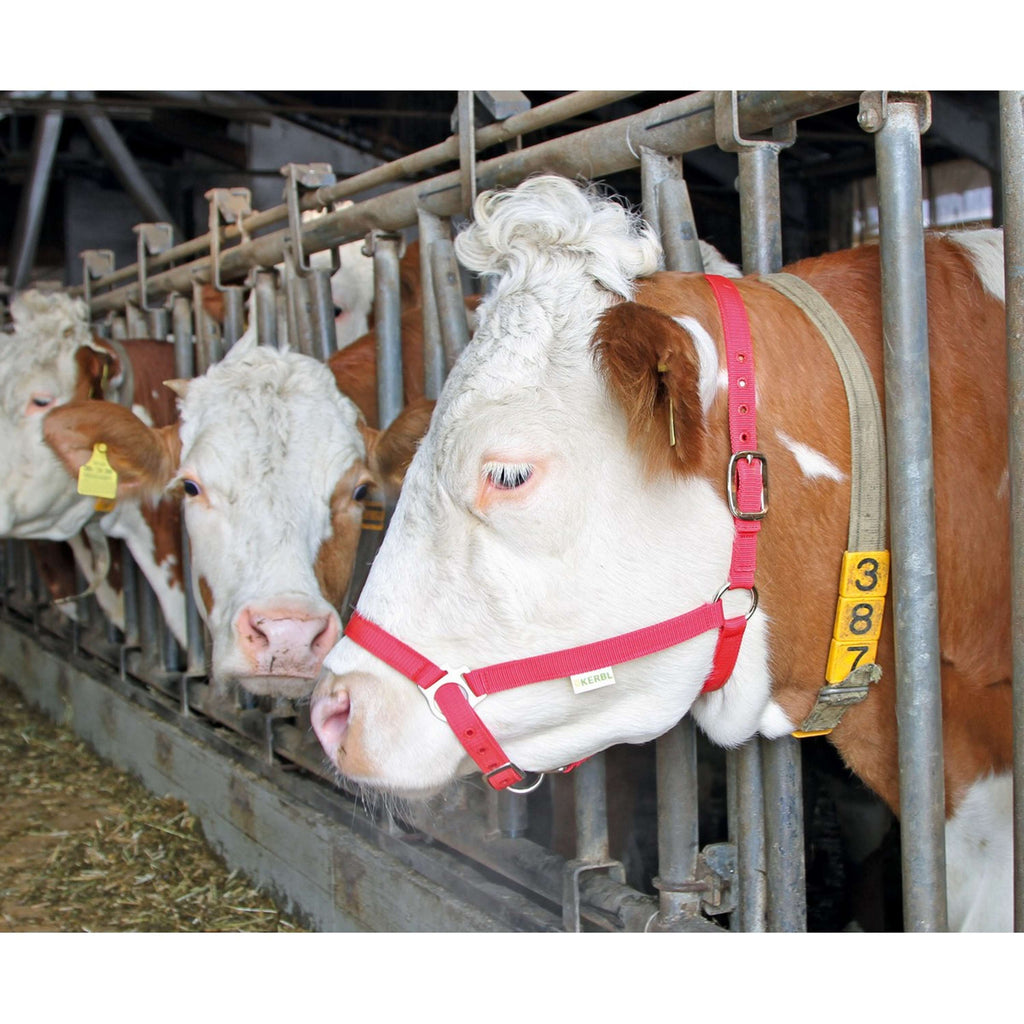 Gancio per mucca Kerbl Rosso
