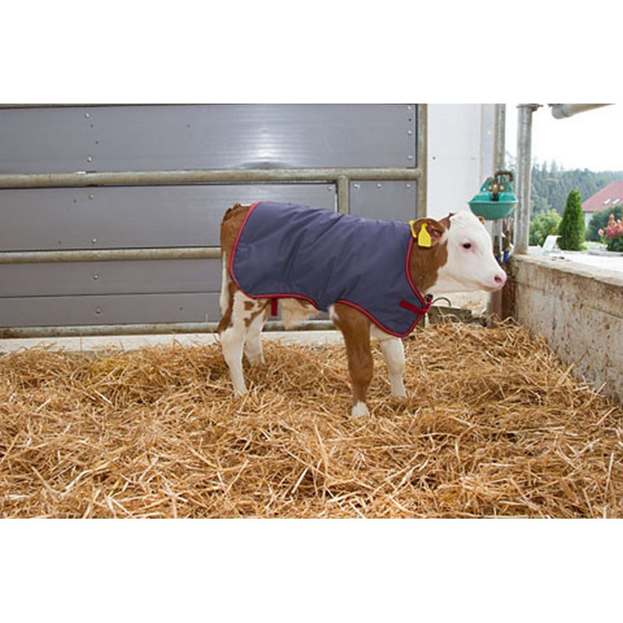 Kerbl Coperta per Vitelli Thermoplus Kerbl Coperta per Vitelli Thermoplus