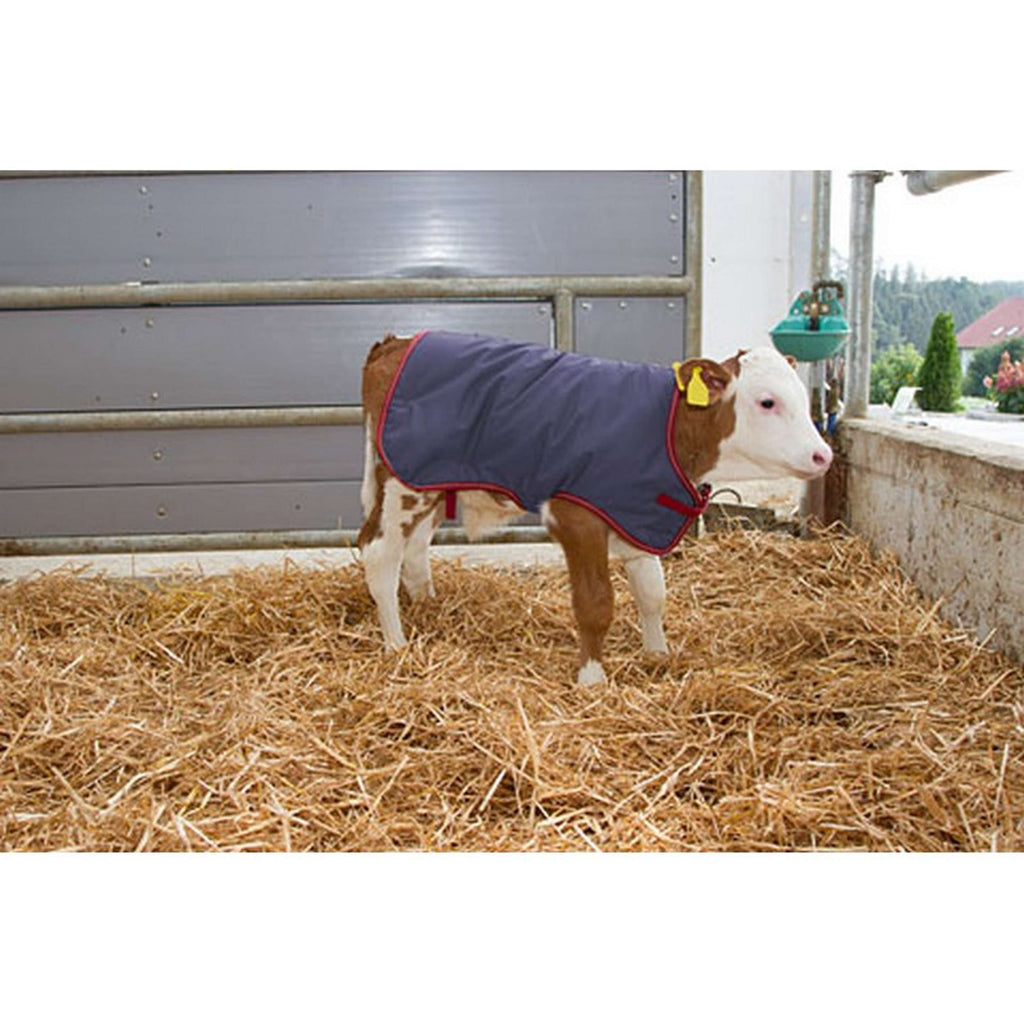 Kerbl Coperta per Vitelli Thermoplus