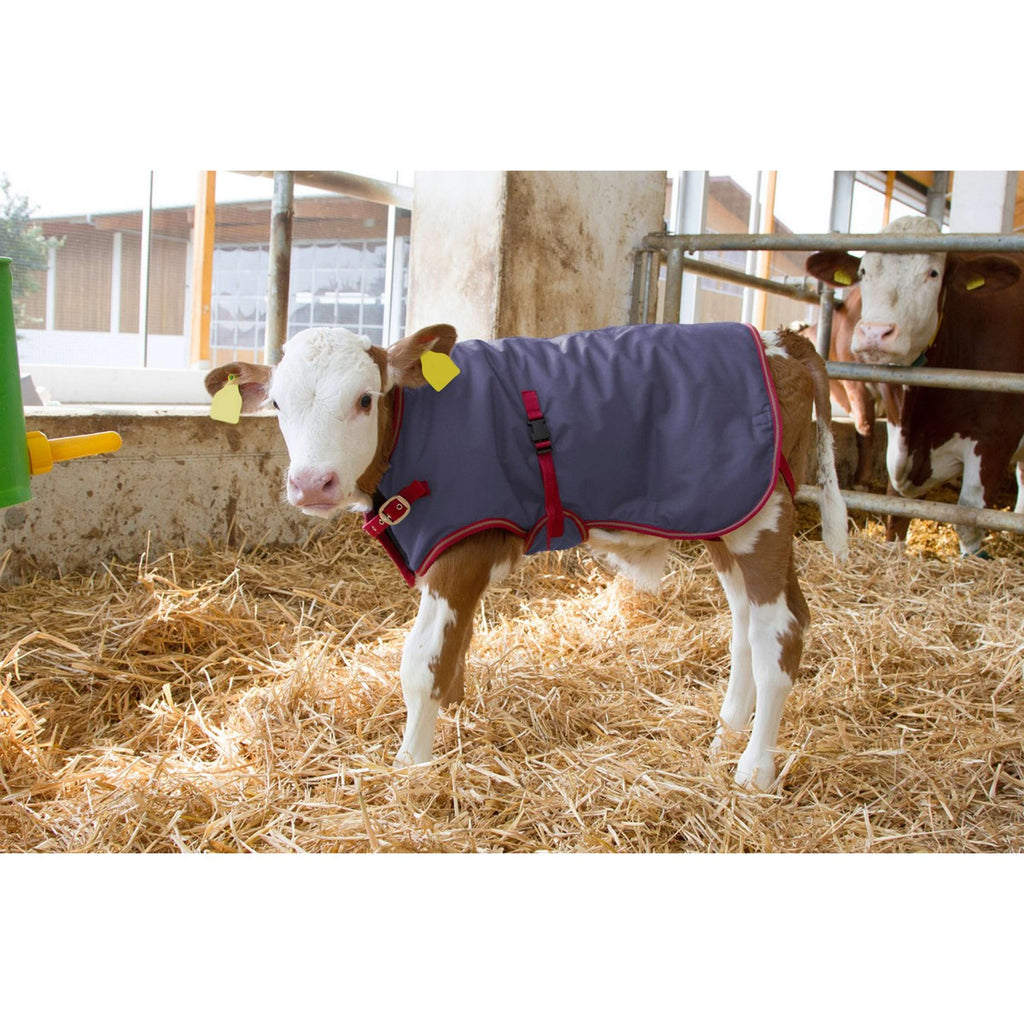 Kerbl Coperta per Vitelli Thermoplus