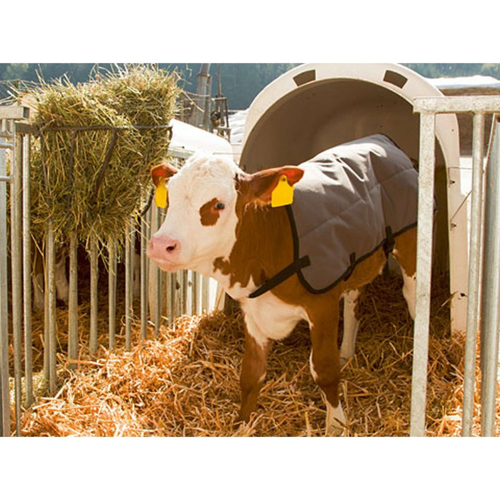 Kerbl Coperta per Vitelli