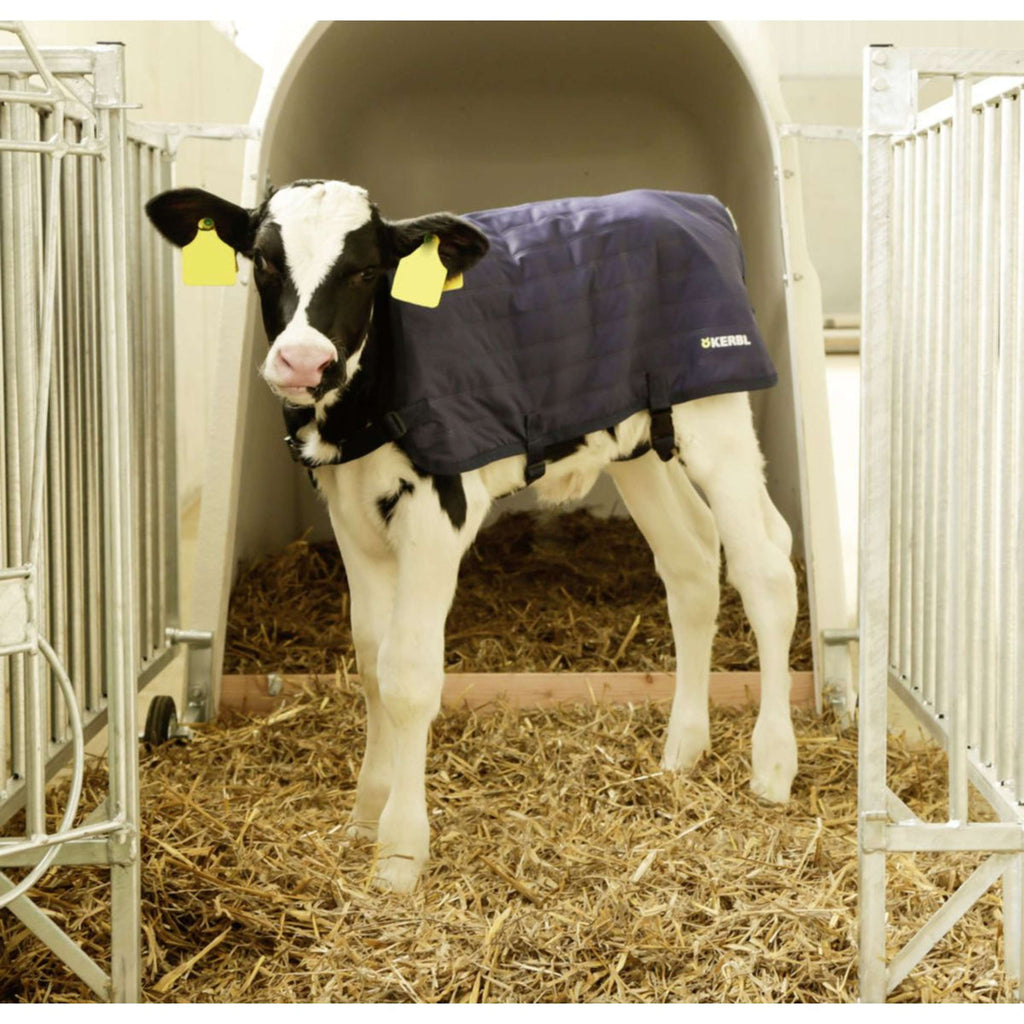 Kerbl Coperta per Vitelli EasyWear