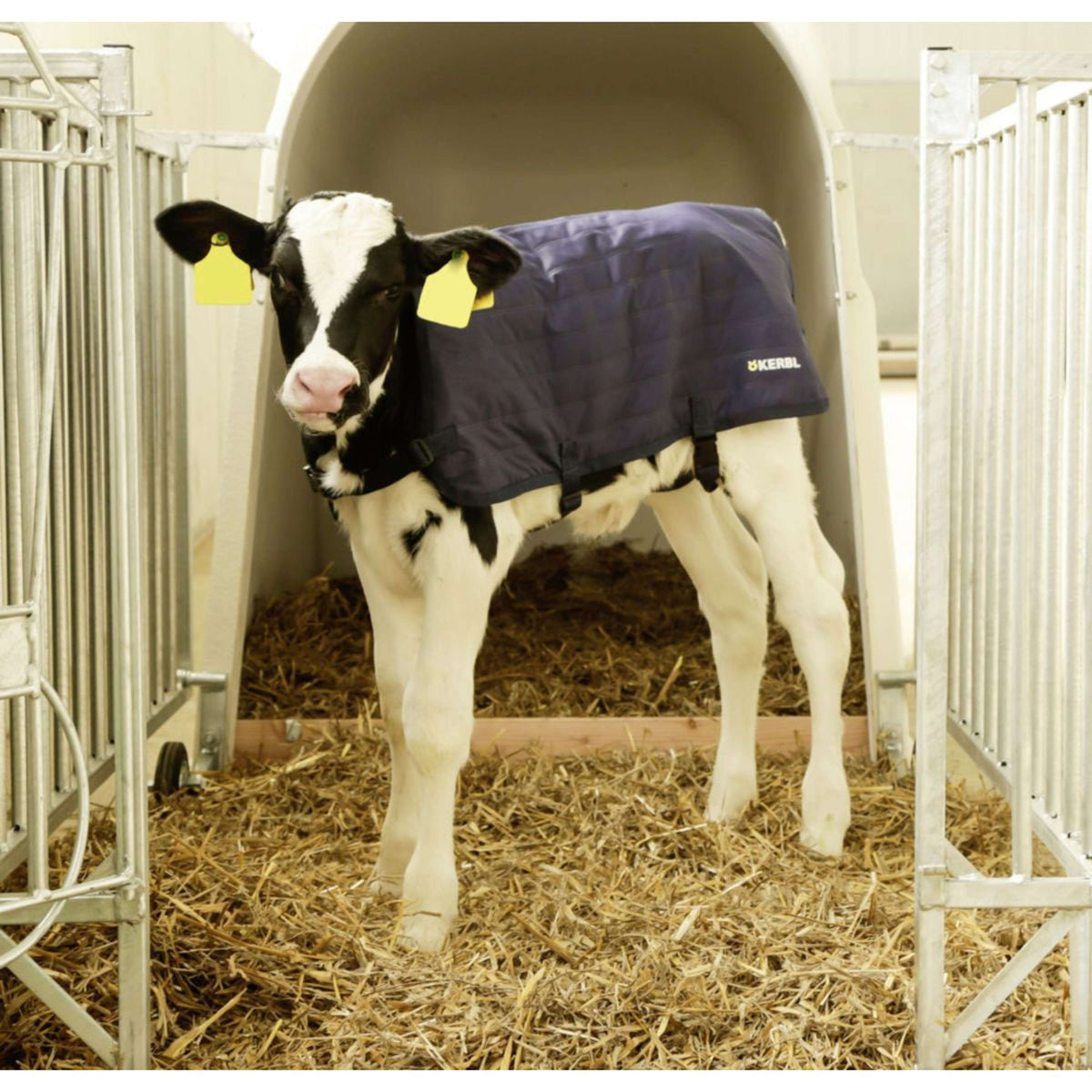 Kerbl Coperta per Vitelli EasyWear