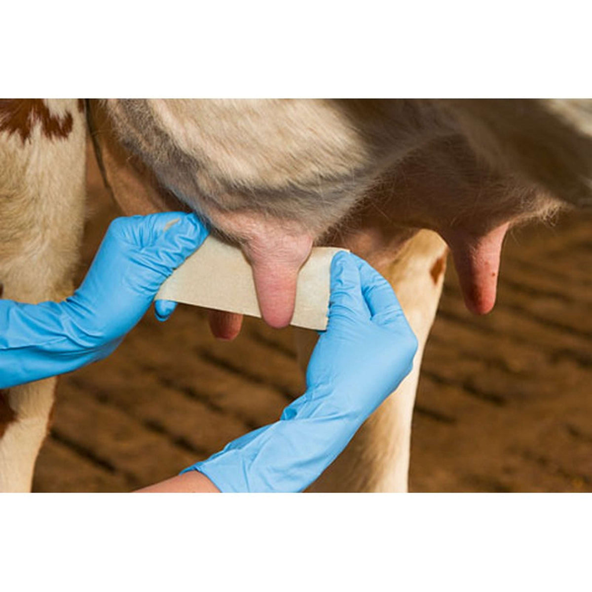 Kerbl Benda per capezzoli Udderosoft