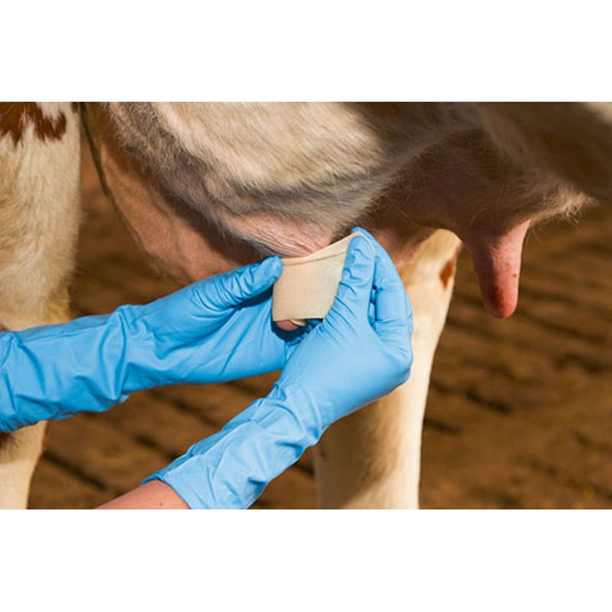 Kerbl Benda per capezzoli Udderosoft