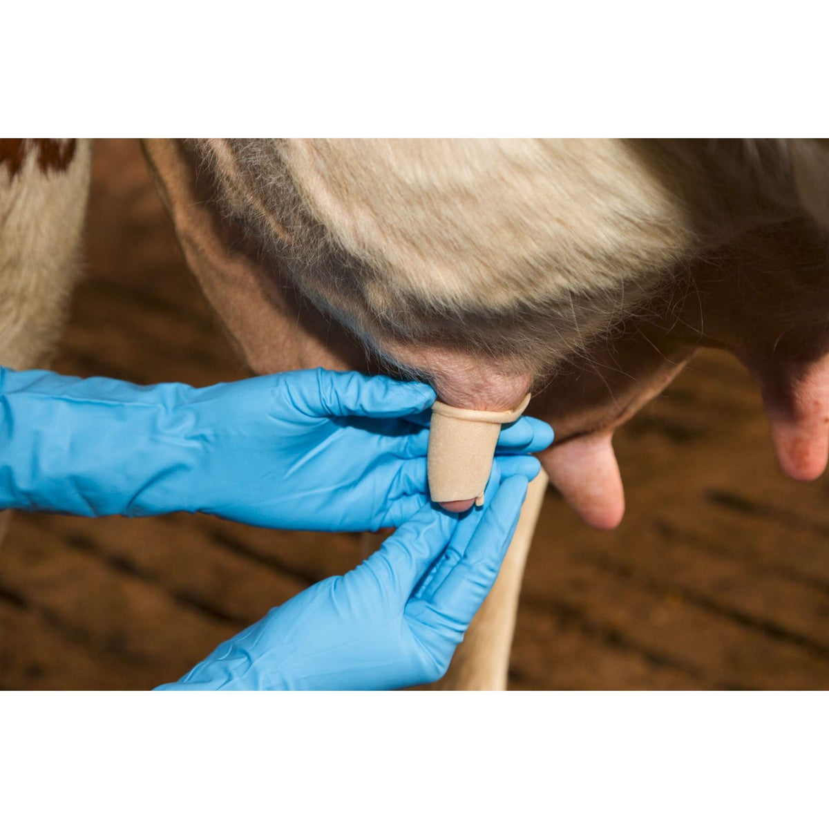 Kerbl Benda per capezzoli Udderosoft