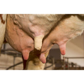 Kerbl Benda per capezzoli Udderosoft