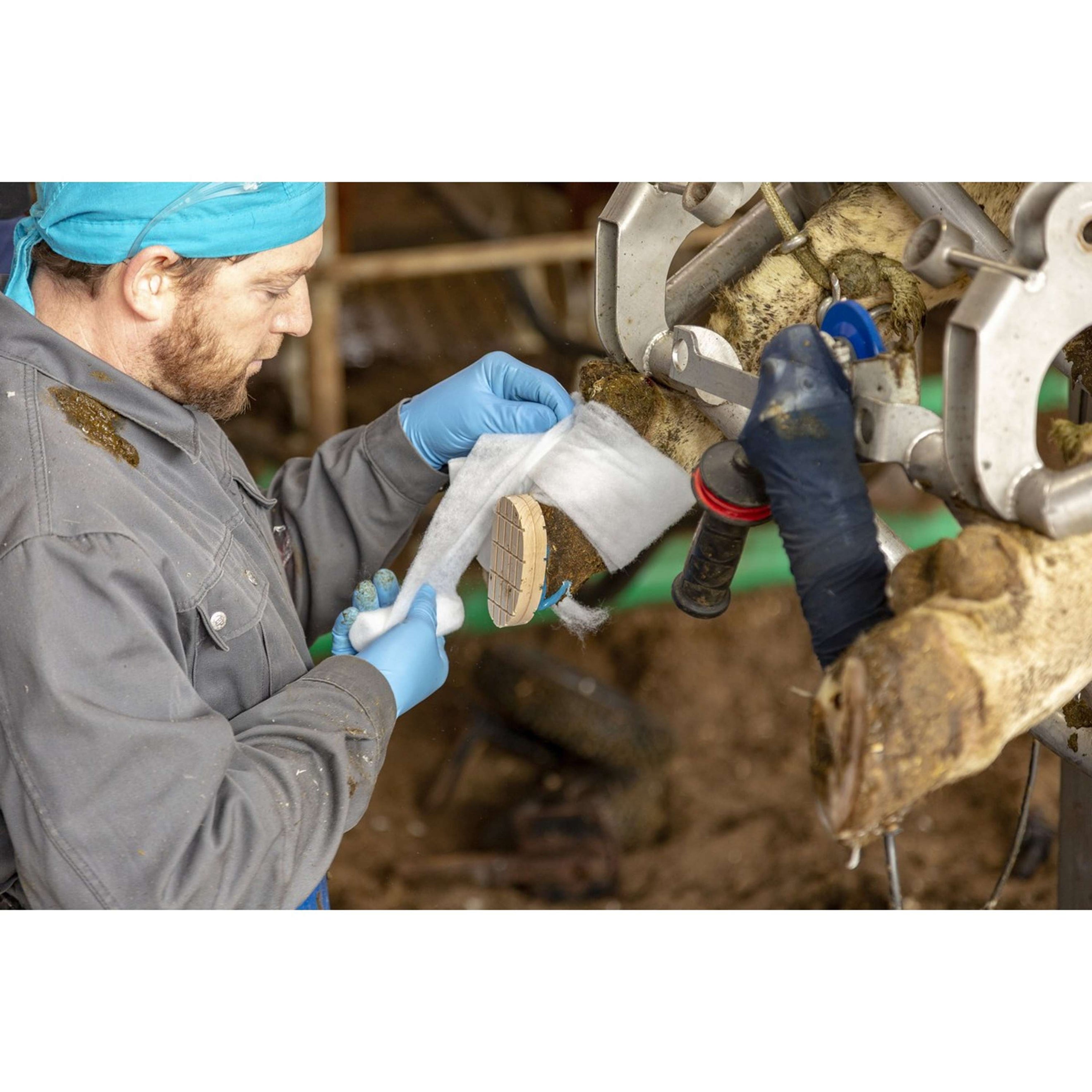 Kerbl Rotolo per acqua Kerbl Rotolo per acqua