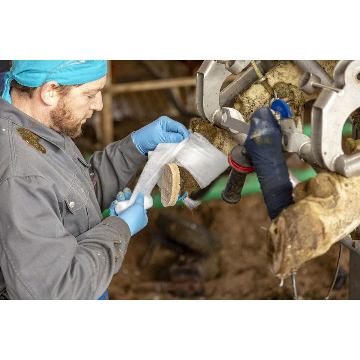 Kerbl Rotolo per acqua