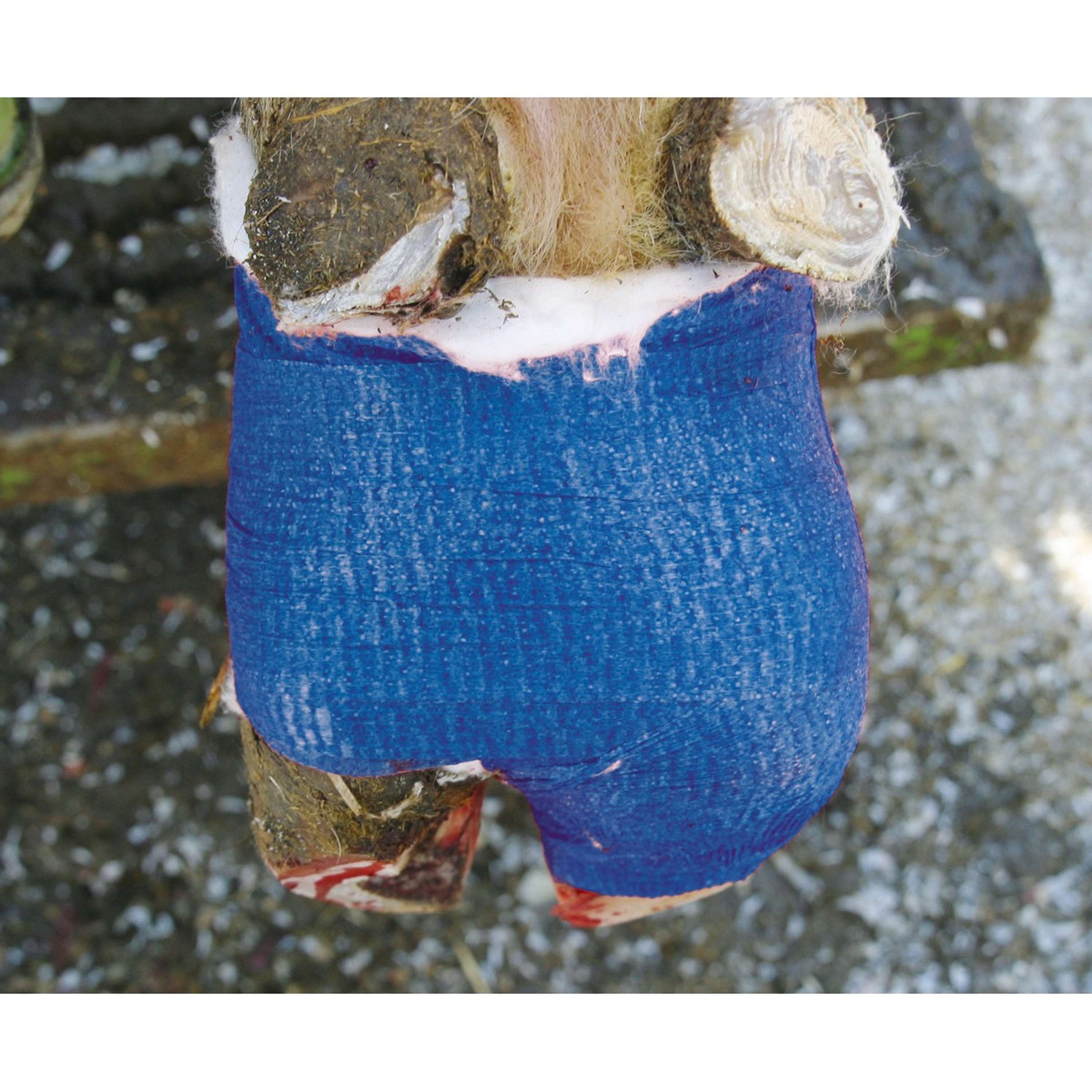 Kerbl Bendare VetLastic Blu Kerbl Bendare VetLastic Blu