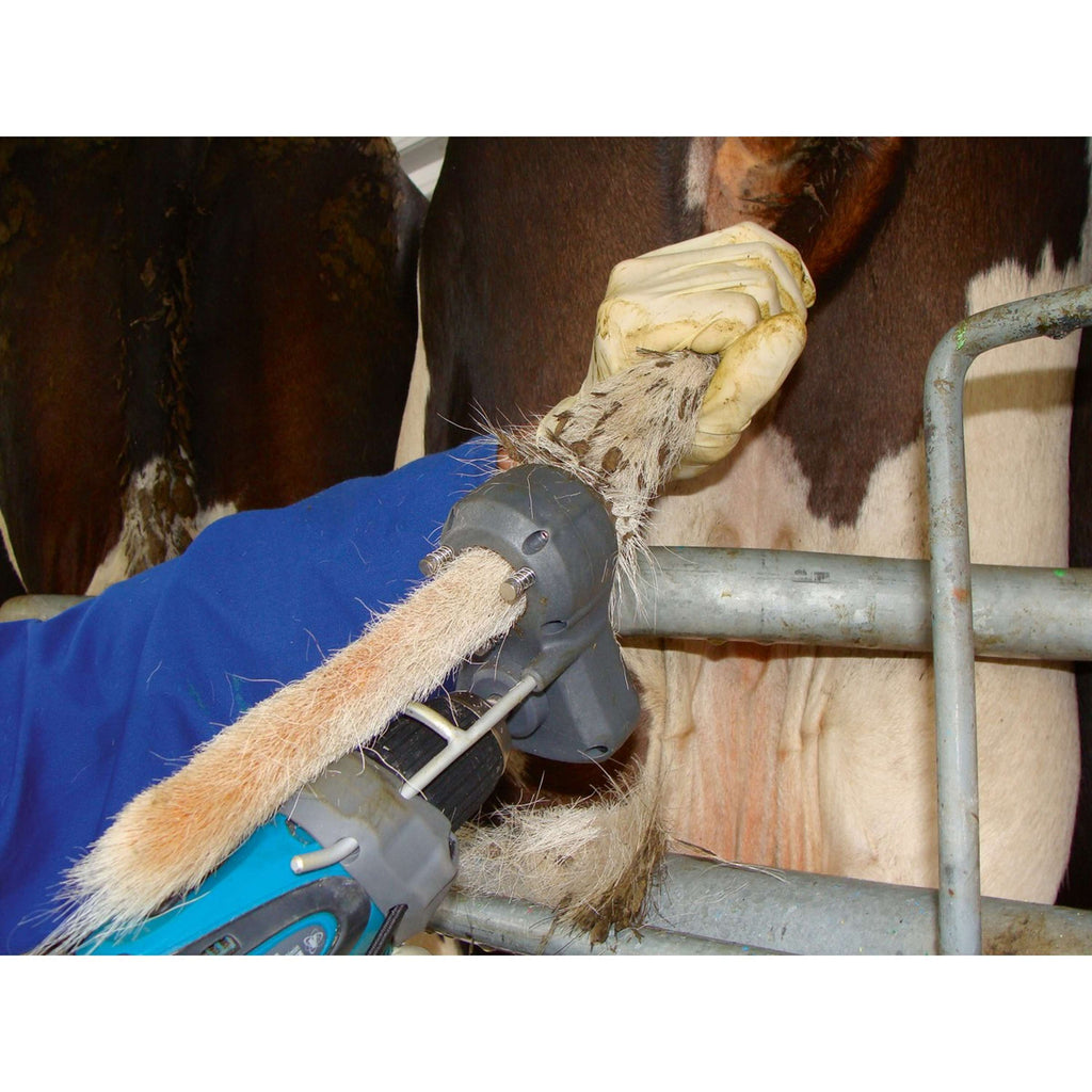 Kerbl Tagliacoda Tailwell II