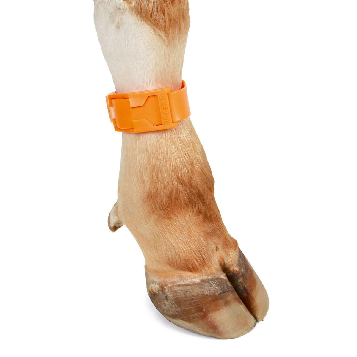 Kerbl Cavigliera Easy Arancia