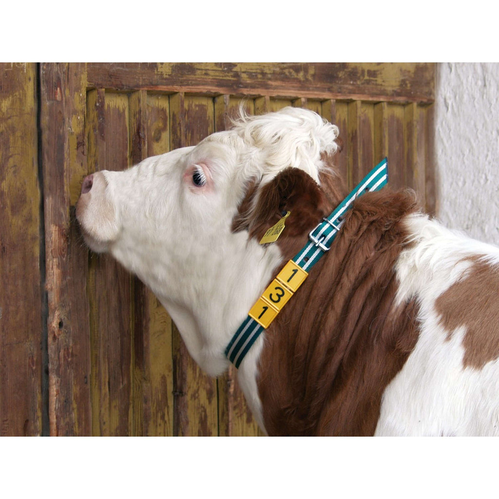 Kerbl Banda di Marcatura per Collo Verde/Bianco