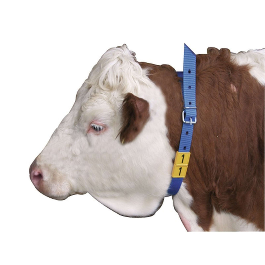 Kerbl Banda di Marcatura per Collo Blu